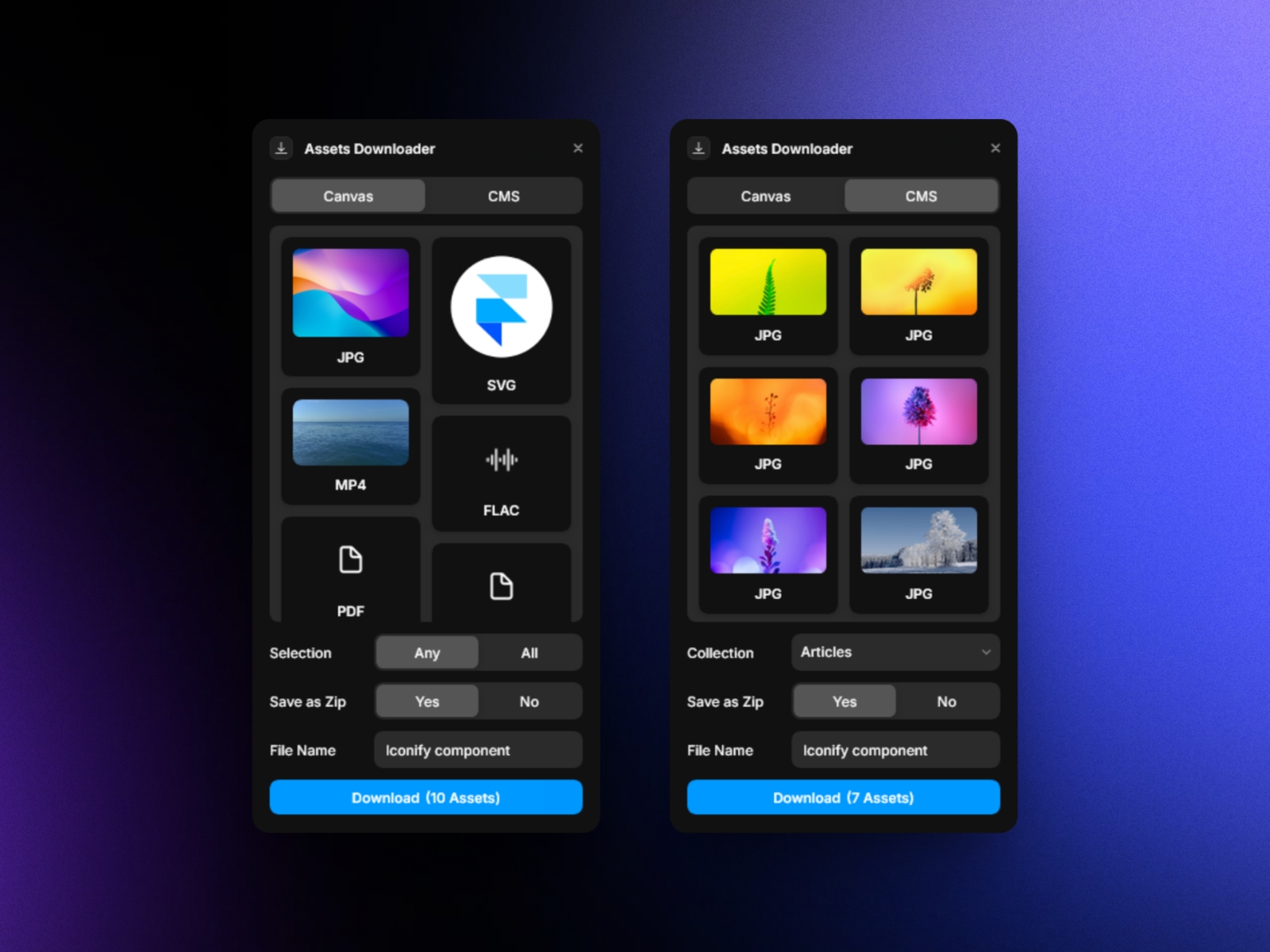 Screenshot 3 for Assets Downloader, a Framer Marketplace plugin by Arun Raj.