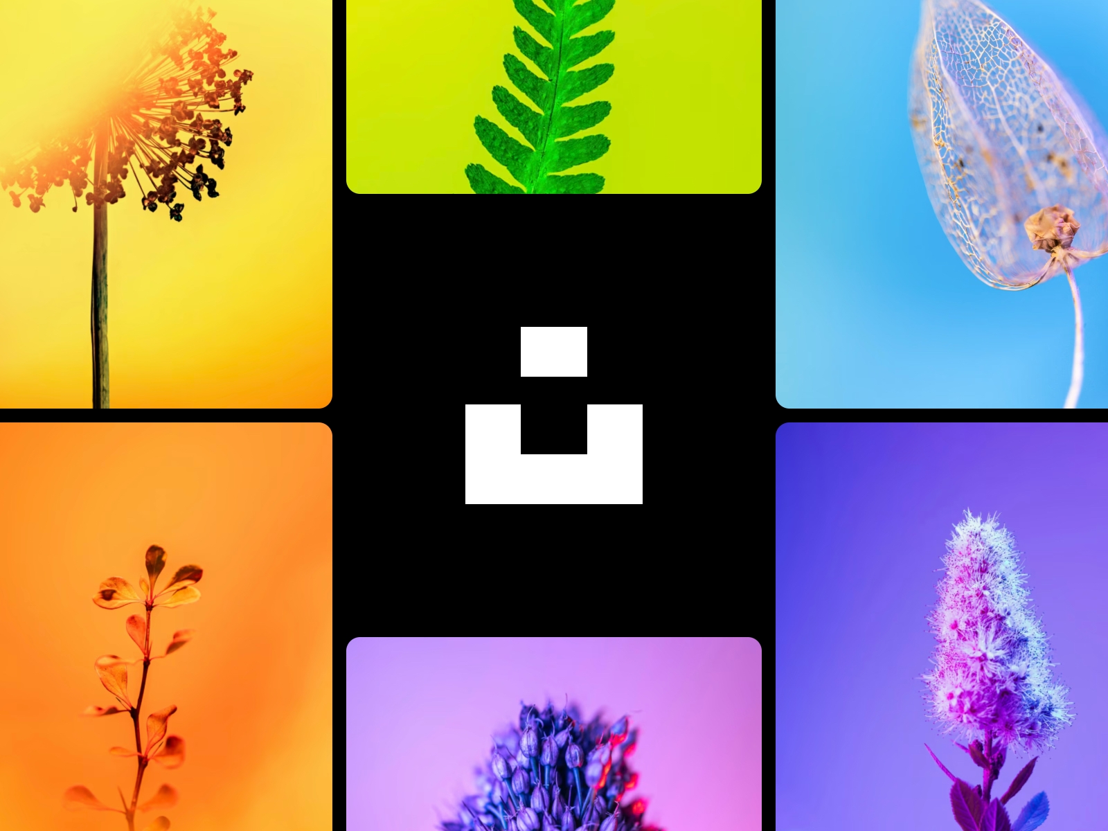 Screenshot 1 for Unsplash, a Framer Marketplace plugin by Framer.