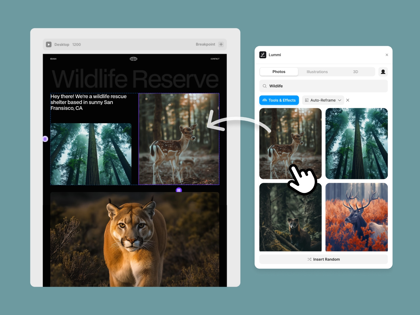 Screenshot 4 for Lummi, a Framer Marketplace plugin by Lummi.