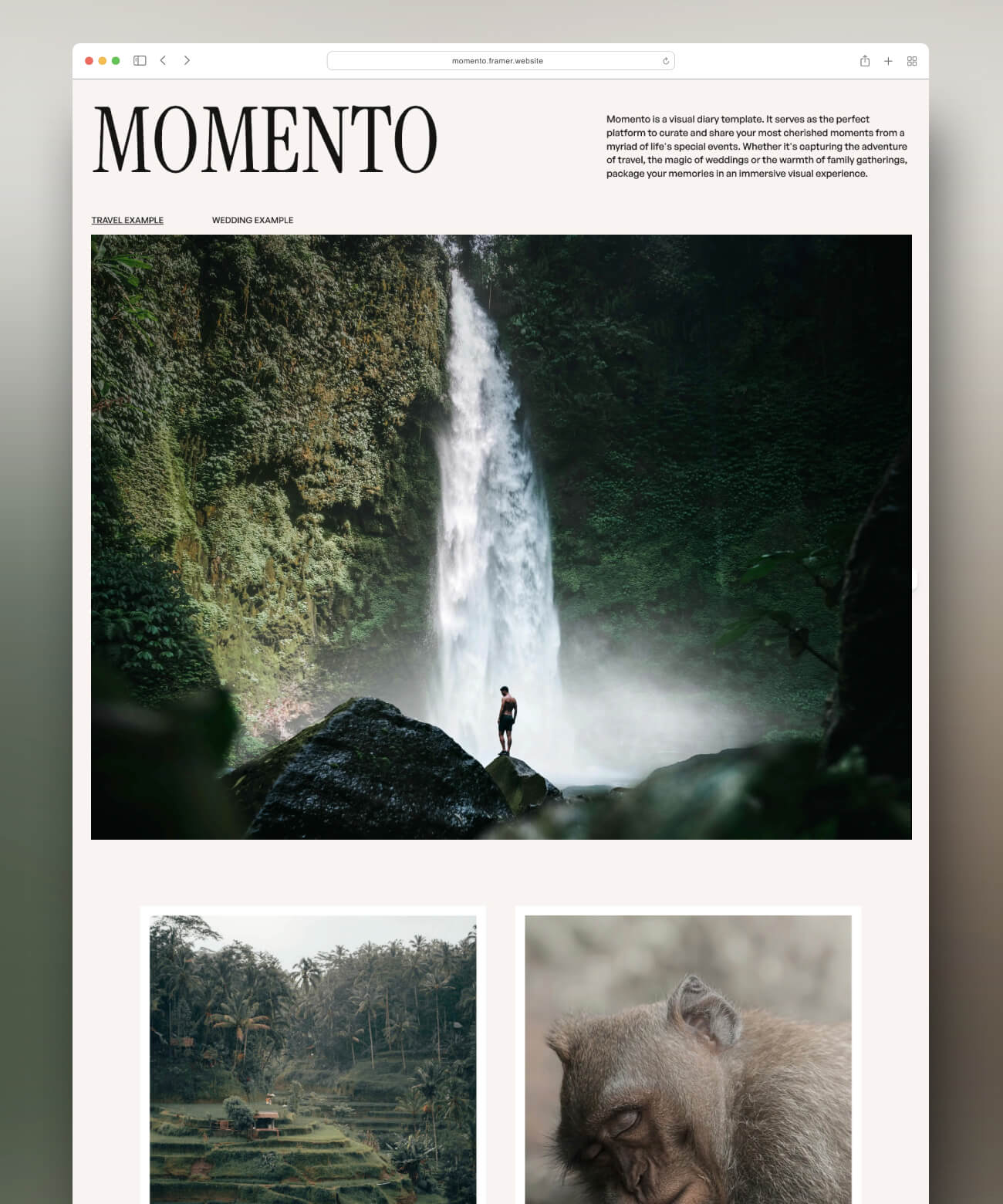 Screenshot 1 for Momento, a Framer Marketplace template by Lauren Waller.